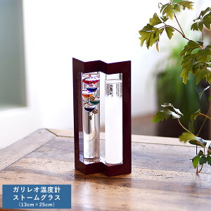 CeA u  KIxvXg[OX 13cm×25cm IuWF _  j l mI n D v[g Mtg