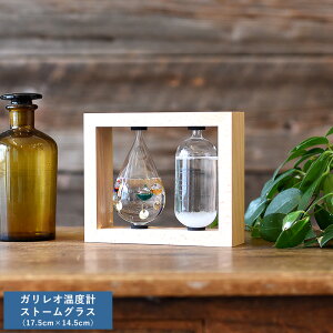 CeA u  KIxvXg[OX 17.5cm×14.5cm IuWF _  j l mI n D v[g Mtg