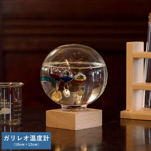 CeA u  KIxv h[ 10cm×12cm IuWF _  j l mI n D v[g Mtg