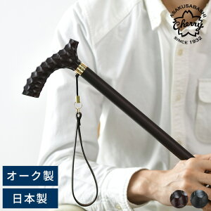 Cherry Mountain Tb茳XebL { ؐ  am j Y {    c e 60 70 v[g Mtg ËH  j hV̓ y