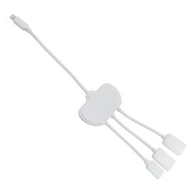 【買い物マラソンP10倍】アウトレット 在庫処分品 iPhone iPad対応 OTGケーブル Lightning 給電 USB2ポート ハブケーブル ホワイト