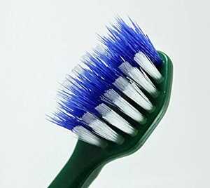 t@ԂɓuV@ӂ (1{)M[ or RpNg72_Zbg