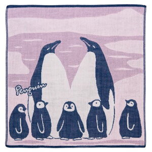 Pocchi 3dK[[nJ` |Pbg yM@Penguin/PC-035