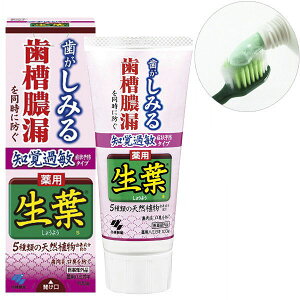 ts@moߕqǏ\h^Cv(100g)48_Zbg