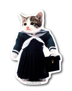  LN^[XebJ[@ȂߔL Z[[ LCS1305 gs  80N ȂߔLObY