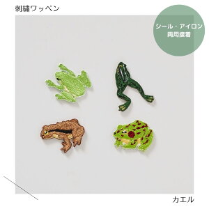 JG̎hJV[byijhJ@V[EACpڒ