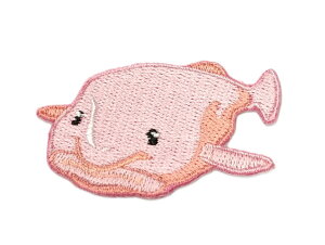 [C̎hJby@uutBbVijEijhJ@ACڒ