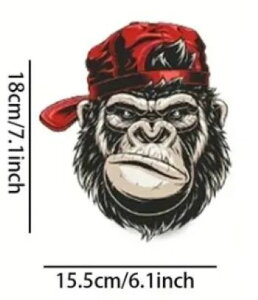 �L���O�S�����A�C�����M�]�ʃV�[�g�E�ԃL���b�v�@