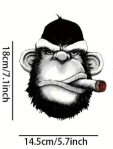 �L���O�S�����A�C�����M�]�ʃV�[�g�E���΂��@