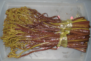 R`Yт̉ЂiVRj500gyvz3,980~ȏ̏ꍇʓr܂A肢܂zLLڂ́ut摗vɃ`FbN肢v܂B