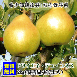 _yVX[p[SALEJÊԒɎg^yő1,000~N[|ΏەizhCGlEfER~XiGij2kgy(AAꌧEւ̂͂̏ꍇ́Aʓr500~