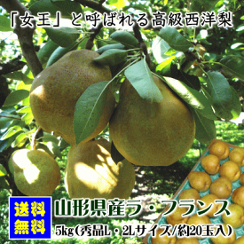 楽天市場 洋梨 品種 洋梨 ラ フランス フルーツ 果物 食品 の通販