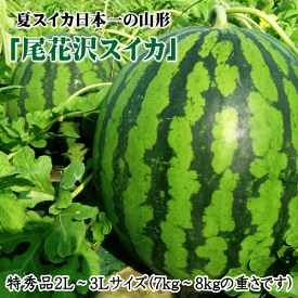 山形県産尾花沢スイカ特秀品（2L〜3Lサイズ）