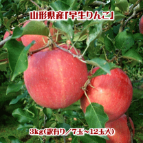 楽天市場】早生ふじの通販
