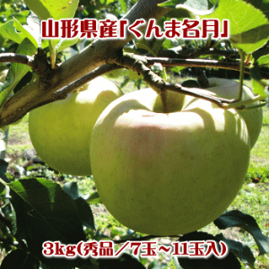 ܖiGij3kgi7ʁ`11ʁjy(AAꌧEւ̂͂̏ꍇ́Aʓr500~܂)z