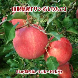 Tӂ񂲁iGij5kgi14ʁ`16ʁjy(AAꌧEւ̂͂̏ꍇ́Aʓr500~܂)z