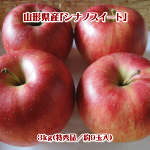 VimXC[g3kgiGi/9ʓjy(AAꌧEւ̂͂̏ꍇ́Aʓr500~܂)z