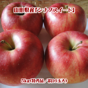 VimXC[g5kgiGi/16ʓjy(AAꌧEւ̂͂̏ꍇ́Aʓr500~܂)z