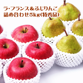 ラ・フランス＆ふじりんご詰め合わせ（特秀品）5kg【送料無料(※但し、沖縄県・離島へのお届けの場合は別途送料が500円かかります)】【各種のし対応可】