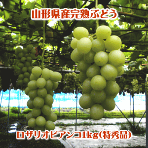 UIrAR1kg(Gi/2[jLiłByAAꌧEꕔւ͕̂͂ʓr500~܂z