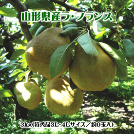 ラ・フランス（特秀品）3kg（3L・4Lサイズ）【送料無料(※但し、沖縄県・離島へのお届けの場合は、別途送料が500円かかります)】【食べ頃予定日の記載あり】