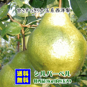 Vo[xiGij3kgy(AAꌧEւ̂͂̏ꍇ́Aʓr500~܂)z