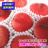 【2箱同梱で送料無料】山形県産ちょっと訳有りだからお買得！白桃2kg※対象品種は「まどか（硬めの白桃）…