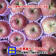 ちょっと訳有り＆手のひらサイズの小玉品！【ジュースや加工用向き（生食可）】サンふじりんご5kg満杯詰…