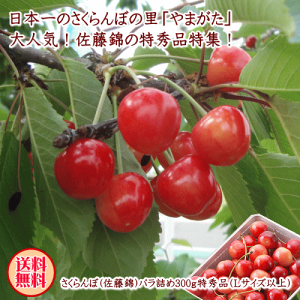 ���i�摜