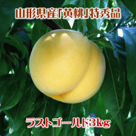 【配達のご指定不可となります】山形県産ラストゴールド（硬めの黄桃/特秀品）3kg(但し、沖縄県・離島へ…