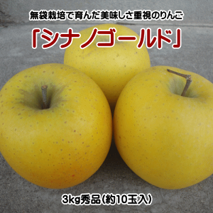 VimS[hiGij3kgi10ʓjy(AAꌧEւ̂͂̏ꍇ́Aʓr500~܂)z