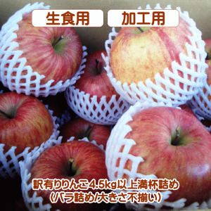 「生食&加工用に」訳有りりんご(対象品種:清明)4.5kg以上満杯詰め(バラ詰め/大きさ不揃い)【送料無料(※但し、沖縄県・離島へのお届けの場合は、別途送料が500円かかります)】