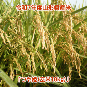 【新米】令和7年度山形産「つや姫」玄米10kg(5kg×2袋)【やまがた特別栽培農産物認証/農薬・化学肥料使用5割減】【送料無料】※但し、沖縄県・離島への配達は別途送料1,000円かかります。