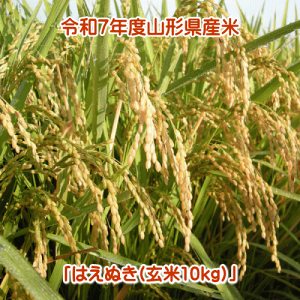 yVāzߘa7NxR`Yu͂ʂv10kg(5kg×2)yzAAꌧEւ̔zB͕ʓr1,000~܂B