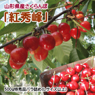 【生産農家厳選品】【クール便配達】山形県産さくらんぼ（紅秀峰）500gバラ詰め（特秀品/Lサイズ）【但し…