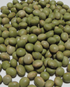 _͔|哤u`v600gy䂤pPbg֑Ήׁ̈AEzBEԑт̂w͕sƂȂ܂Bi͗Xփ|Xg֒ڔzBƂȂ܂z