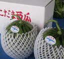 山形県産月山（小玉）スイカ（ひとりじめorピノガール）特秀品2個入り（1玉の重さは約2kgです）※品種のご指定不可※沖縄県・離島へのお届けは別途送料が500円かかります。