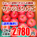 ちょっと訳有りだからお買得!サンふじりんご10kg【送料無料(※但し、九州は200円、沖縄県・離島へのお届けの場合は、別途送料が500円かかります)】