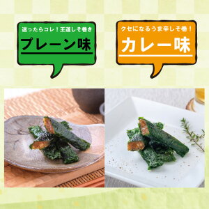 y1|Cg10{z1000~ۂ   Zbg { т̂ ܂  X O |Cg Mtg Ă 󂠂 {錧 O ݂ 