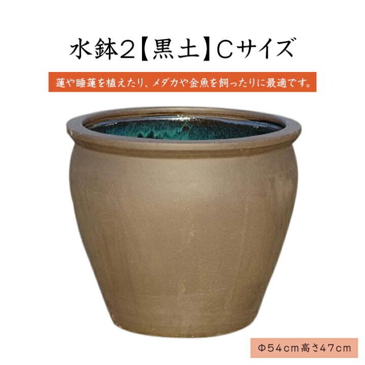 楽天市場】水鉢 2【黒土】Cサイズ 睡蓮鉢 水鉢 メダカ 飼育 鉢 送料 