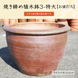 楽天市場 植木鉢 大きいの通販