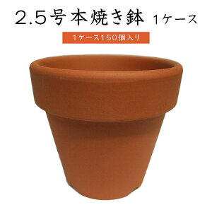 2.5{Ăy1P[X@150z Ă 2.5 Aؔ   Aؔ t[|bg K[fjO ƒ؉