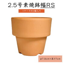 楽天市場】素焼き鉢 2．5号の通販