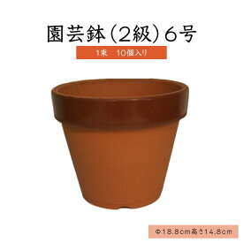 6号園芸鉢（2級）【1束】