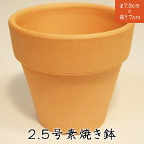 楽天市場】素焼き鉢 2．5号の通販