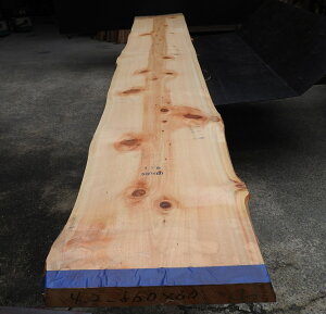 O  t ޏ㕔490`590×65×4200mm Y