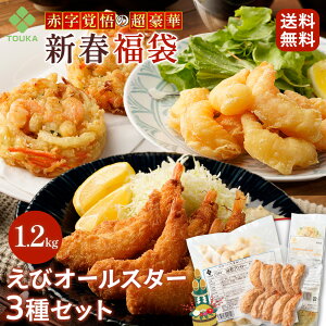 Vt  2026 уI[X^[  3 d1.2kg Zbg  CVtC Grtb^[d K Mtg Z y Hi Ε  Ε 2025 Mtg CN  