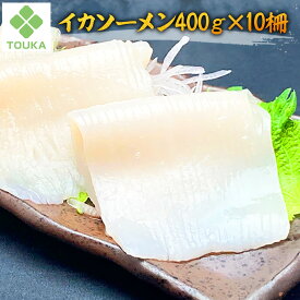 イカソーメン (10柵)400g するめいか 刺身 生食用 冷凍 おつまみ | 冷凍食品 冷食 おかず お惣菜 いかそうめん イカそうめん いかソーメン お刺身 さしみ いか刺身 イカ刺身 刺し身 いかそーめん 生食 業務用 いか イカ 酒の肴 冷凍イカ 刺身用 業務用惣菜 冷凍海鮮 スルメ