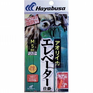 nuT Ԃ AICJ Evd| HD305[M d| g~pZbg