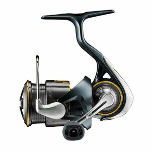 _C 23GAeB SF1000S P [ ʏXsjO